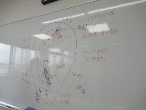 耳つぼ講座風景写真3